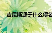 吉尼斯源于什么得名（吉尼斯名字起源）