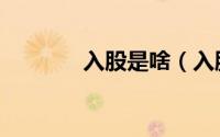 入股是啥（入股是什么意思）