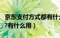 京东支付方式都有什么意思（京东支付是什么?有什么用）