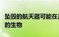 坠毁的航天器可能在月球上留下了微小但坚韧的生物