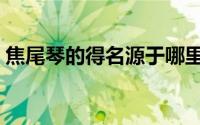 焦尾琴的得名源于哪里（焦尾的声音好听吗）