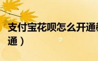 支付宝花呗怎么开通教程（支付宝花呗怎么开通）