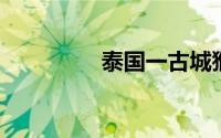 泰国一古城猴子数量激增