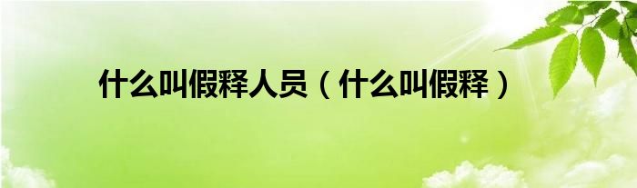 什么叫假释人员（什么叫假释）