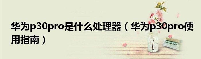 华为p30pro是什么处理器（华为p30pro使用指南）