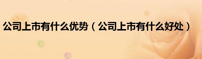 公司上市有什么优势（公司上市有什么好处）