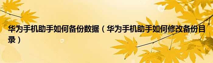 华为手机助手如何备份数据（华为手机助手如何修改备份目录）