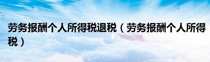 劳务报酬个人所得税退税（劳务报酬个人所得税）