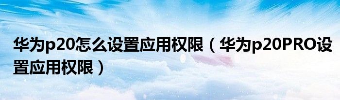 华为p20怎么设置应用权限（华为p20PRO设置应用权限）