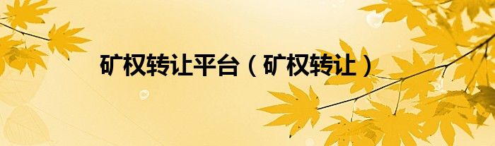 矿权转让平台（矿权转让）