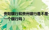 贵阳银行和贵州银行是不是一家（贵州银行和贵阳银行是同一个银行吗）