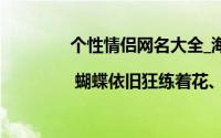个性情侣网名大全_海风一直眷恋着沙、（| 蝴蝶依旧狂练着花、）