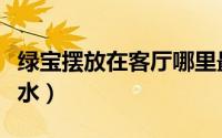 绿宝摆放在客厅哪里最旺（绿宝摆放在客厅风水）