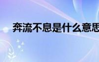 奔流不息是什么意思（奔流不息的意思）