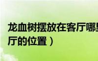 龙血树摆放在客厅哪里最旺（龙血树摆放在客厅的位置）