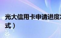 光大信用卡申请进度怎么查询（有几种查询方式）