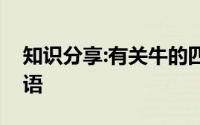 知识分享:有关牛的四字吉祥语寓意好的祝福语