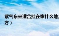 紫气东来适合挂在家什么地方（紫气东来适合挂在家哪些地方）