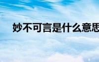 妙不可言是什么意思（妙不可言的意思）
