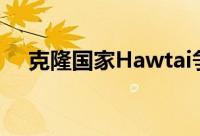 克隆国家Hawtai争夺福特金牛座在中国
