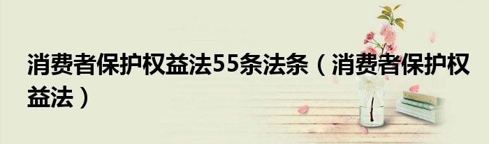 消费者保护权益法55条法条（消费者保护权益法）