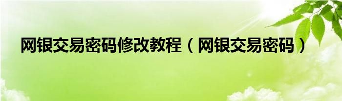 网银交易密码修改教程（网银交易密码）