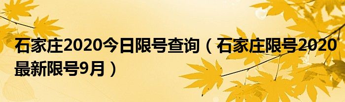 石家庄2020今日限号查询（石家庄限号2020最新限号9月）