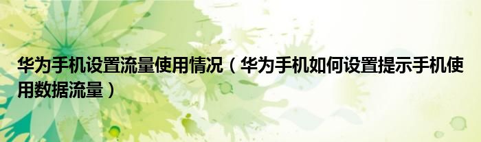 华为手机设置流量使用情况（华为手机如何设置提示手机使用数据流量）
