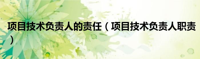  项目技术负责人的责任（项目技术负责人职责）