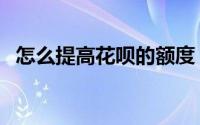 怎么提高花呗的额度（如何提高花呗额度）