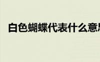 白色蝴蝶代表什么意思（白色蝴蝶的解说）