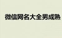 微信网名大全男成熟（追逐自由成熟网名）