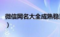 微信网名大全成熟稳重（致成熟有深度的网名）