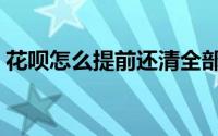 花呗怎么提前还清全部欠款（花呗怎么提现）