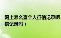 网上怎么查个人征信记录啊（请问本人可以在网上查个人征信记录吗）