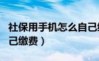 社保用手机怎么自己缴费（社保用手机怎么自己缴费）