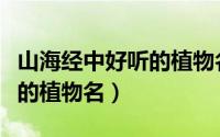 山海经中好听的植物名（山海经中有哪些好听的植物名）