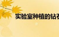 实验室种植的钻石可以代替真品吗