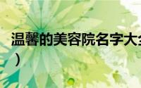 温馨的美容院名字大全（高端优雅美容院名字）