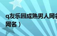 q友乐园成熟男人网名（不随众成熟有深度的网名）
