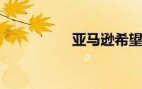 亚马逊希望您挥手付款