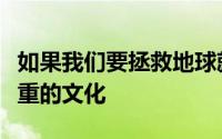 如果我们要拯救地球就必须建立一种平等和尊重的文化