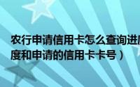 农行申请信用卡怎么查询进度（怎么查询农行信用卡申请进度和申请的信用卡卡号）