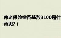 养老保险缴费基数3100是什么档（养老保险缴费基数是什么意思?）