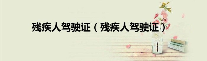 残疾人驾驶证（残疾人驾驶证）