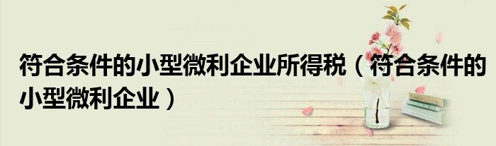 符合条件的小型微利企业所得税（符合条件的小型微利企业）