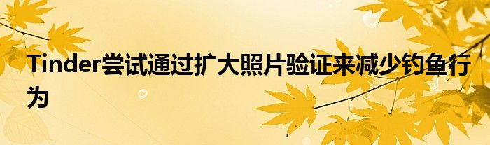 Tinder尝试通过扩大照片验证来减少钓鱼行为