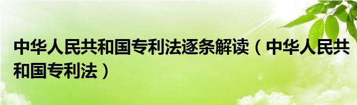 中华人民共和国专利法逐条解读（中华人民共和国专利法）