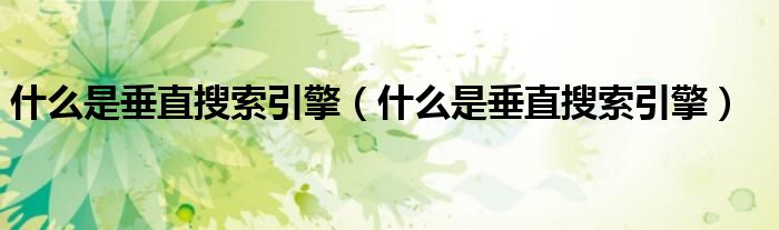 什么是垂直搜索引擎（什么是垂直搜索引擎）