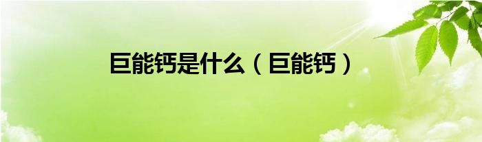 巨能钙是什么（巨能钙）